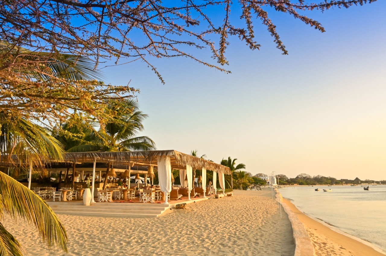 Dining under the palms at The Majlis