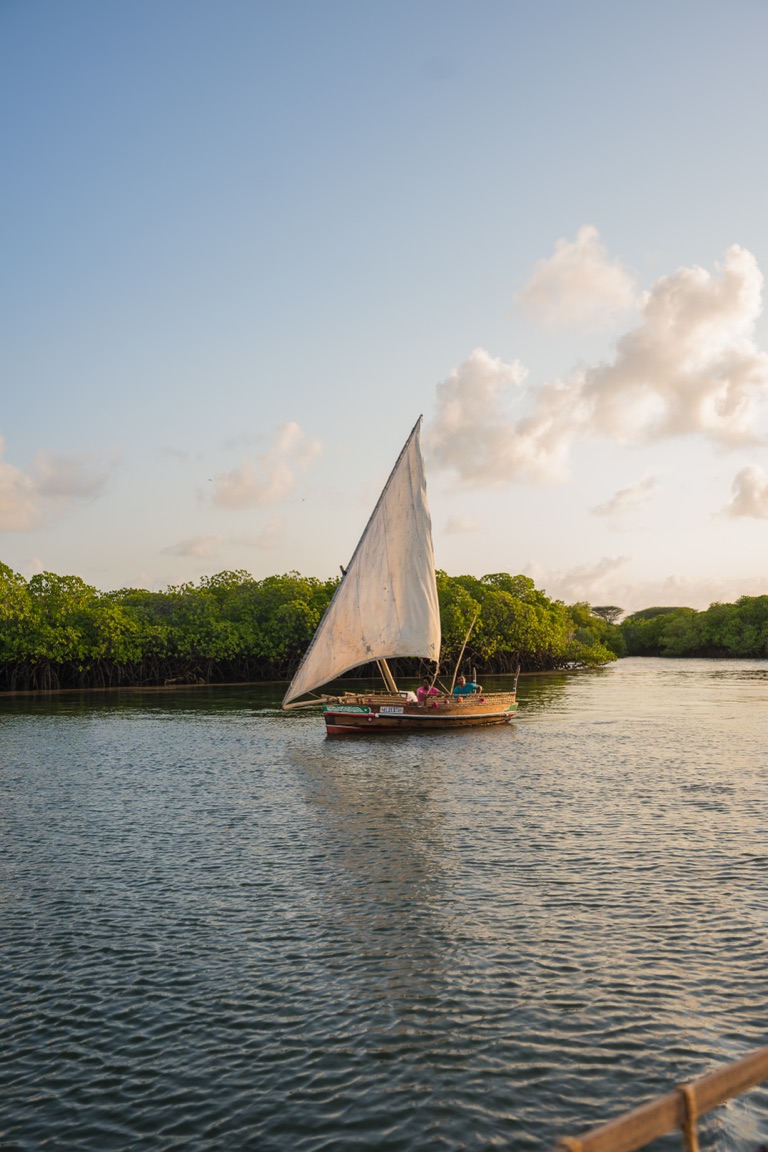 Transfers and scenic flights