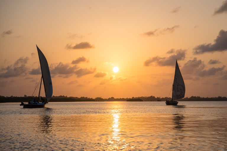 Dhow trips