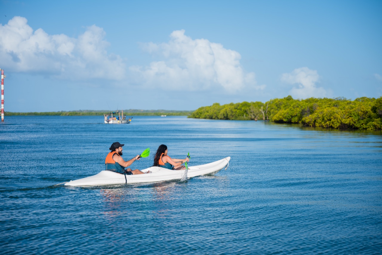 Kayaking the mangroves