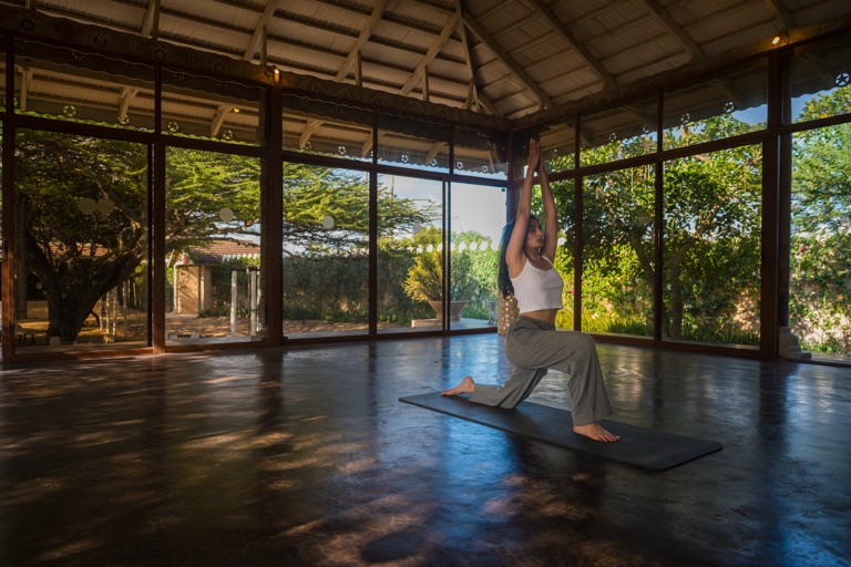 The yoga shala